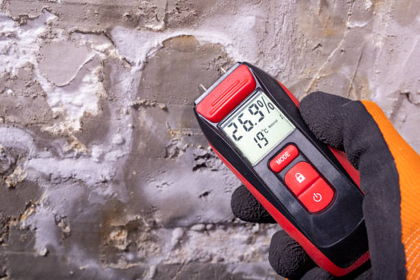 Best Commercial Mold Remediation in Kennett, MO